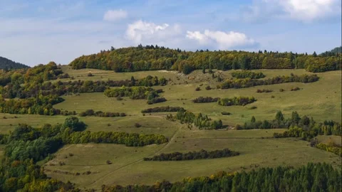 Timelapse of Sheep on the hill moving Stock Footage 132256211