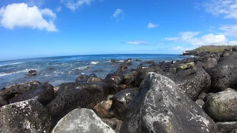 Timelapse shore ocean with crabs Video stock 107884503