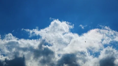Timelapse shot of the blue sky with clouds and the bird, 4K Stock Footage 112980179