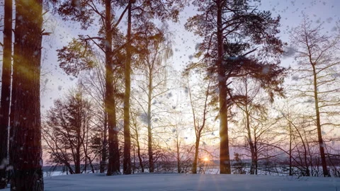 Timelapse shot of golden sunset behind snow covered trees and floor. - Sun Stock Footage 230855385