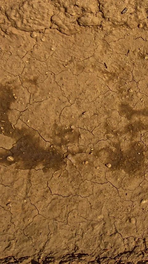 Timelapse showing dry soil cracking and the formation of cracks on a floor Video stock 305177169