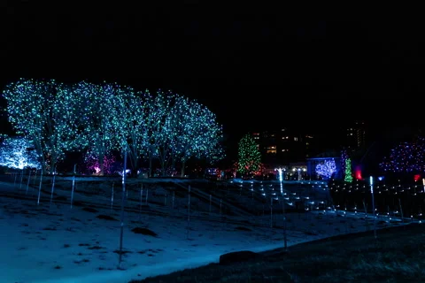 Timelapse showing field of LED Lights. 스톡 동영상 227063639