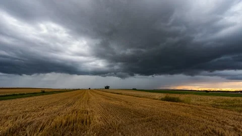 Timelapse showing storm clouds passing with visible rainfall over grain fields Stock Footage 301429075