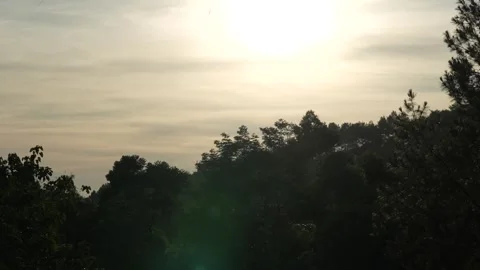 Timelapse silhouette view of trees and sunrise Stock Footage 258314580