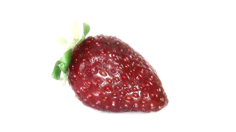 Timelapse of single strawberry rotting over white Stock Footage 35501797
