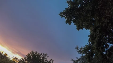 Timelapse sky dusk dark blue and violet sky with tree without wind in suburban Stock Footage 109053705