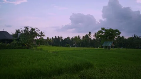 Timelapse of sky moving over rice paddy in Bali Indonesia Stock Footage 124997146