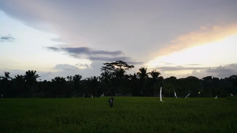 Timelapse of sky moving over rice paddy in Bali Indonesia Stock Footage 124997256