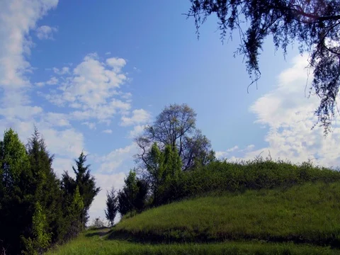 Timelapse of Sky Over Forest Stock Footage 75772773