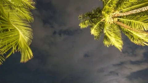 Timelapse sky palm tree Stock Footage