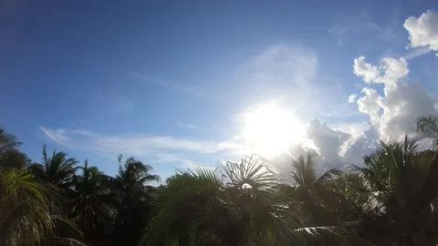 Timelapse - Sky, Palm trees and clouds rushing past Stock Footage 146463115