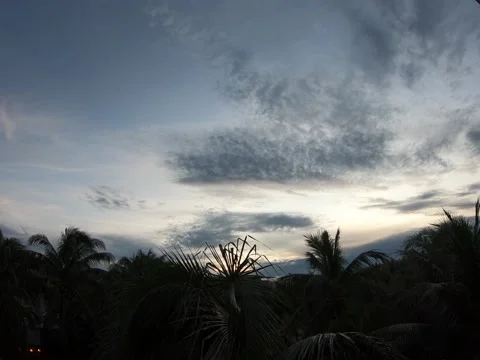Timelapse - Sky, Palm trees and light cloud. Late afternoon to early evening Stock Footage 146463136