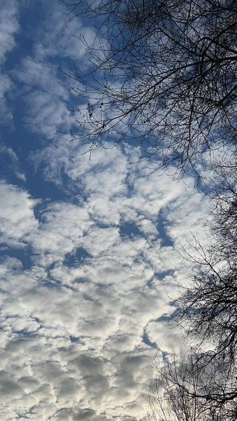 Timelapse of the sky with white clouds moving Stock Footage 233107242