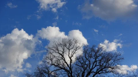 Timelapse of small clouds in the blue sky Stock-Footage 87960455
