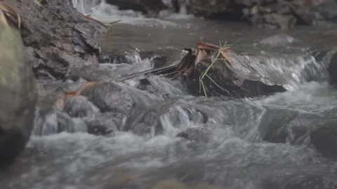 Timelapse Of Small Flowing River Water In The Middle Of Indonesian Forest Stock Footage 233066117