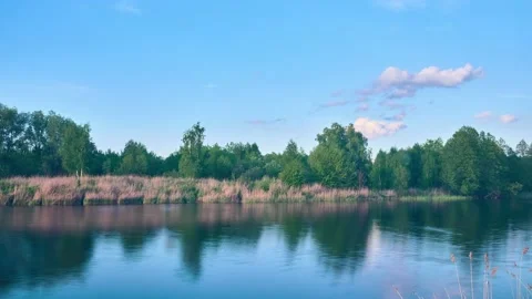 Timelapse. A small river. Green overgrown banks. Clouds float across the sky. Stock Footage 157926958