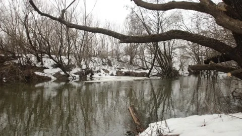 Timelapse of a small spring river Stock Footage 151466771