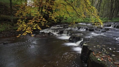 Timelapse of a small waterfall backed by autumn beach trees, England, UK Stock Footage 254554728