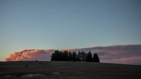 Timelapse | Smoke rising over pasture from the California Fires Stock Footage