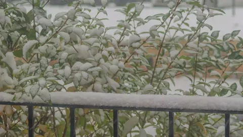 A Timelapse of Snow Accumulating on a Handrail during a Snowstorm Stock Footage 144397089
