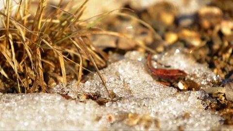 Timelapse of snow melt Stock Footage 78767595
