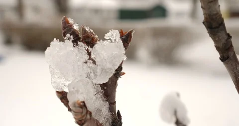 Timelapse snow melting 스톡 동영상 86564228