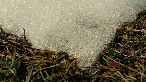 Timelapse of snow melting on grass Stock Footage 126986132