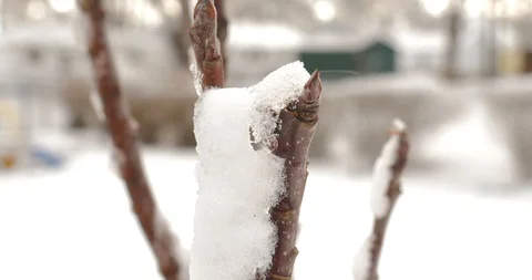 Timelapse snow melting2 스톡 동영상 86564229