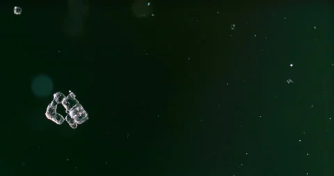 Timelapse of Sodium chloride  crystallization under polarized light Stock Footage 116879566