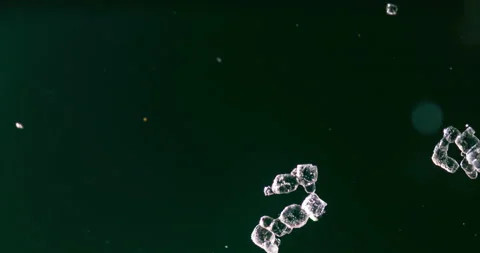 Timelapse of Sodium chloride  crystallization under polarized light Stock Footage 116879628