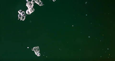 Timelapse of Sodium chloride  crystallization under polarized light Stock Footage 116879672