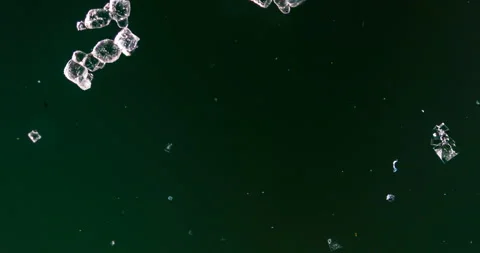 Timelapse of Sodium chloride  crystallization under polarized light Stock Footage 116879723