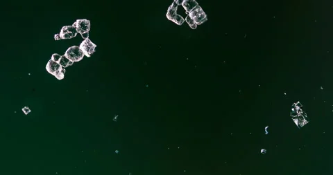 Timelapse of Sodium chloride  crystallization under polarized light Stock Footage 116879913
