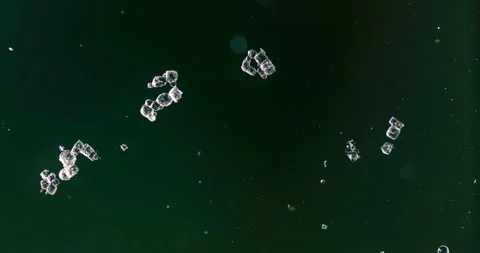 Timelapse of Sodium chloride  crystallization under polarized light Stock Footage 116879965