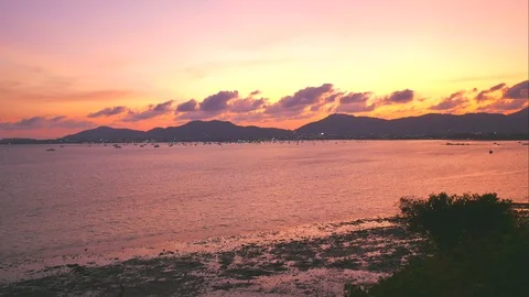 Timelapse soft wave breaking shore beach with mangrove tree forest Video stock 128070053