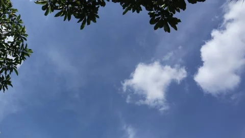 Timelapse of soft white clouds Stock Footage 221827050