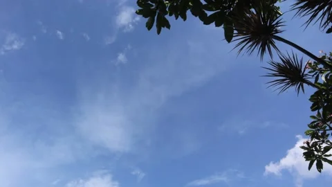 Timelapse of soft white clouds Stock Footage 221827077