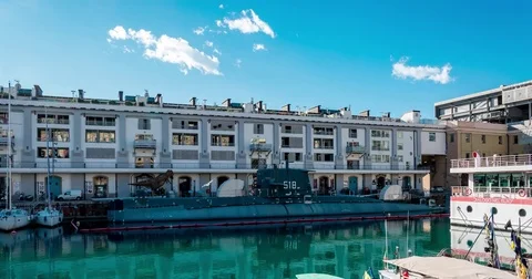 Timelapse sottomarino Stock Footage 84761992