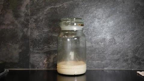 Timelapse of a sourdough starter during the fermentation process in a Stock Footage 282167739