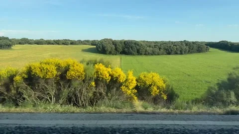Timelapse of the Spanish countryside Stockbeeldmateriaal 336332052