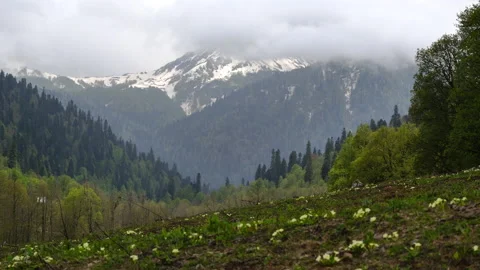 Timelapse of Spring Hill Over Snowy Mountains Vídeos de archivo 156405834