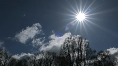 Timelapse Of Springtime Trees With Sun And Clouds In Spring 스톡 동영상 89411589