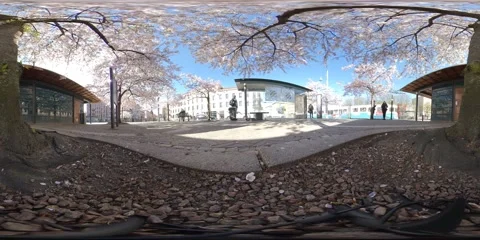 Timelapse Square Full of Life Iron Square Jarntorget Gothenburg 360 VR Stock Footage 131343219