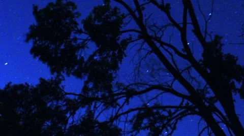 Timelapse star field Vídeos de archivo 11588030