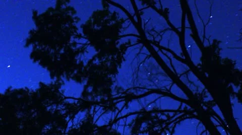 Timelapse star field Video stock 11607227