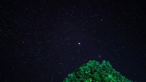 Timelapse star in the night with tree on mountain Stock Footage 263108467