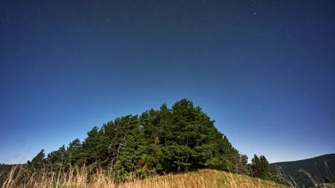 Timelapse of Star Trails Rotating Around North Star Over Forest Hill Silhouette Video stock 315978154