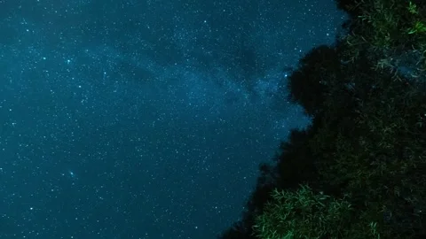 Timelapse Of The Starry Night Sky 스톡 동영상 318844931