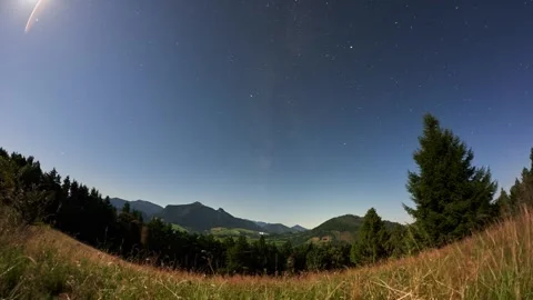 Timelapse of Starry Night Sky with Moon Over Mountain Valley and Forest Hills in Stock-Footage 315981337