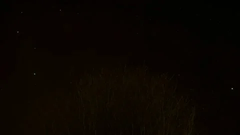 Timelapse of starry night sky with tree in foreground Stock Footage 134811916